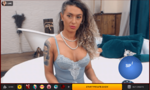 img-categories-and-rules-nude-categories-free-chat-1